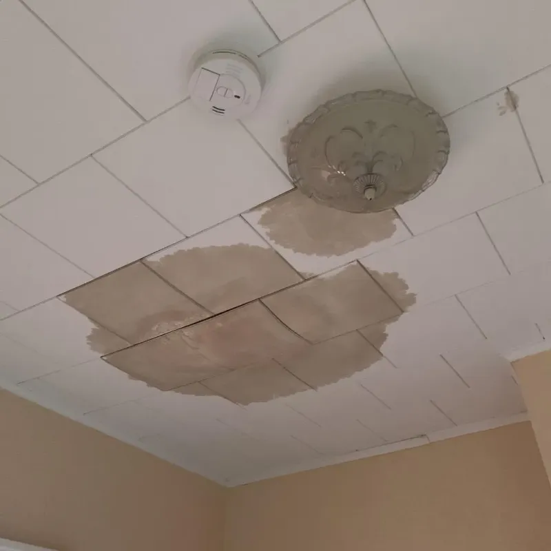 Ceiling Water Damage Repair in Blairsville, PA