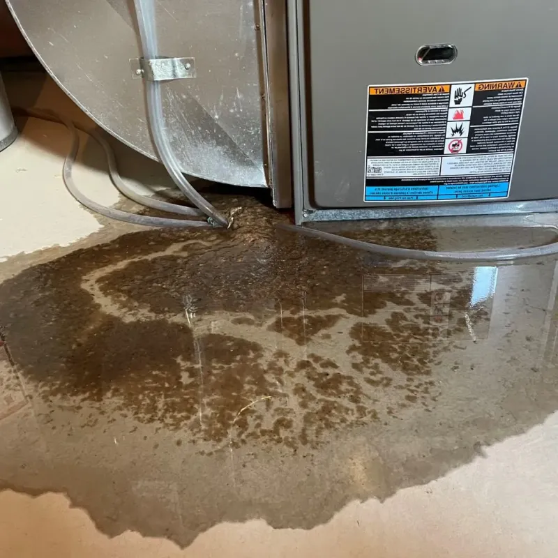 Pipe Burst and Leak Restoration in Blairsville, PA
